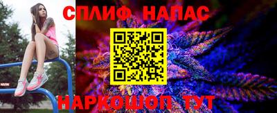 МДПВ Можга