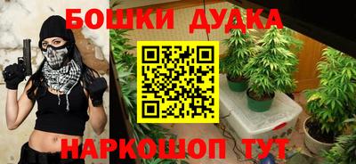 МДПВ Можга