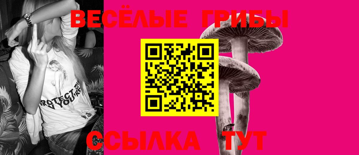 Галлюциногенные грибы Psilocybine cubensis Удомля