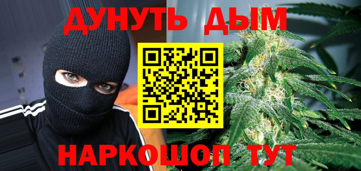 Канабис ГИДРОПОН  Канабис сатива  Удомля  Вход с VPN 